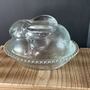 Indiana bunny on nest